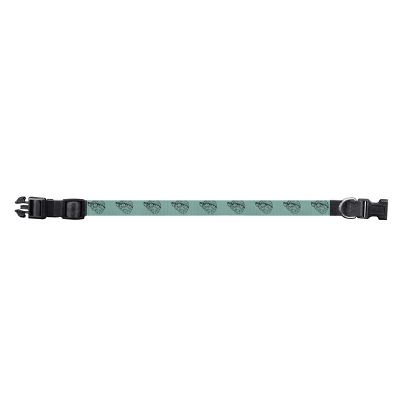 MBB All Over Print Pet Collars in Teal